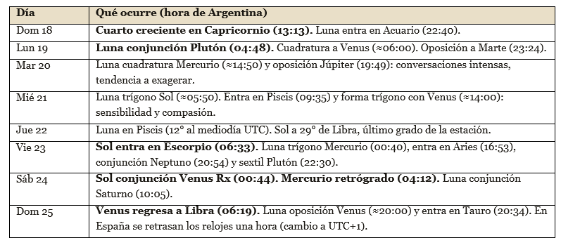 Calendario dia por dia